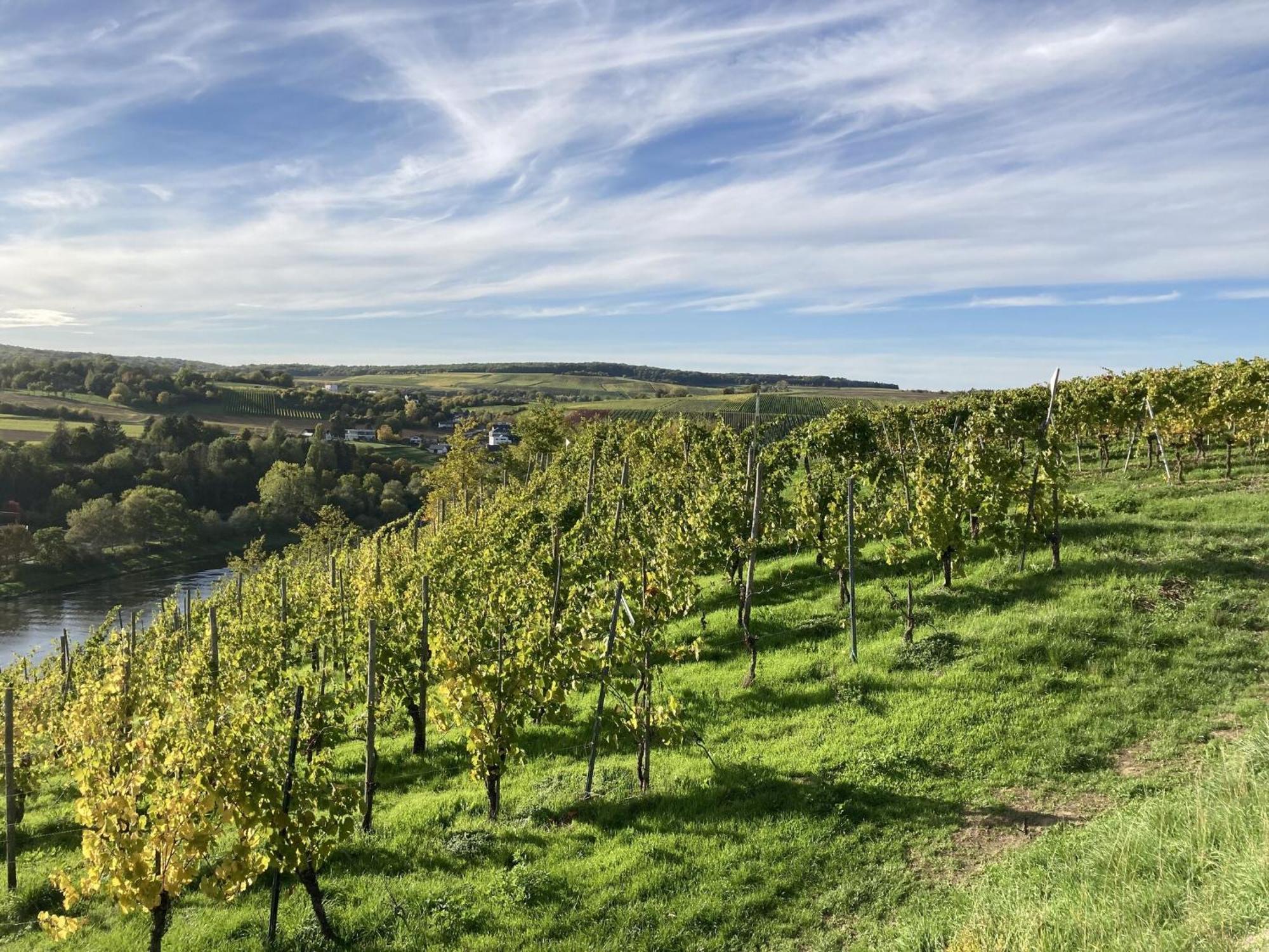 Comfortable Apartment In Ediger Eller Eifel Sankt Aldegund Exterior photo